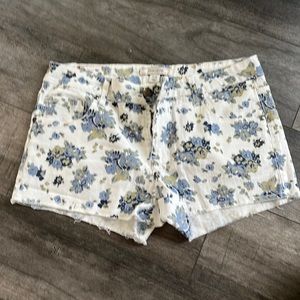 Adam levin shorts